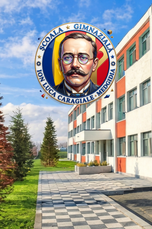 Romanian School Representative